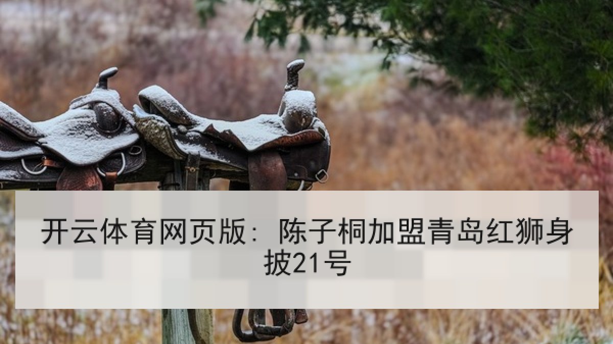 开云体育网页版: 陈子桐加盟青岛红狮身披21号